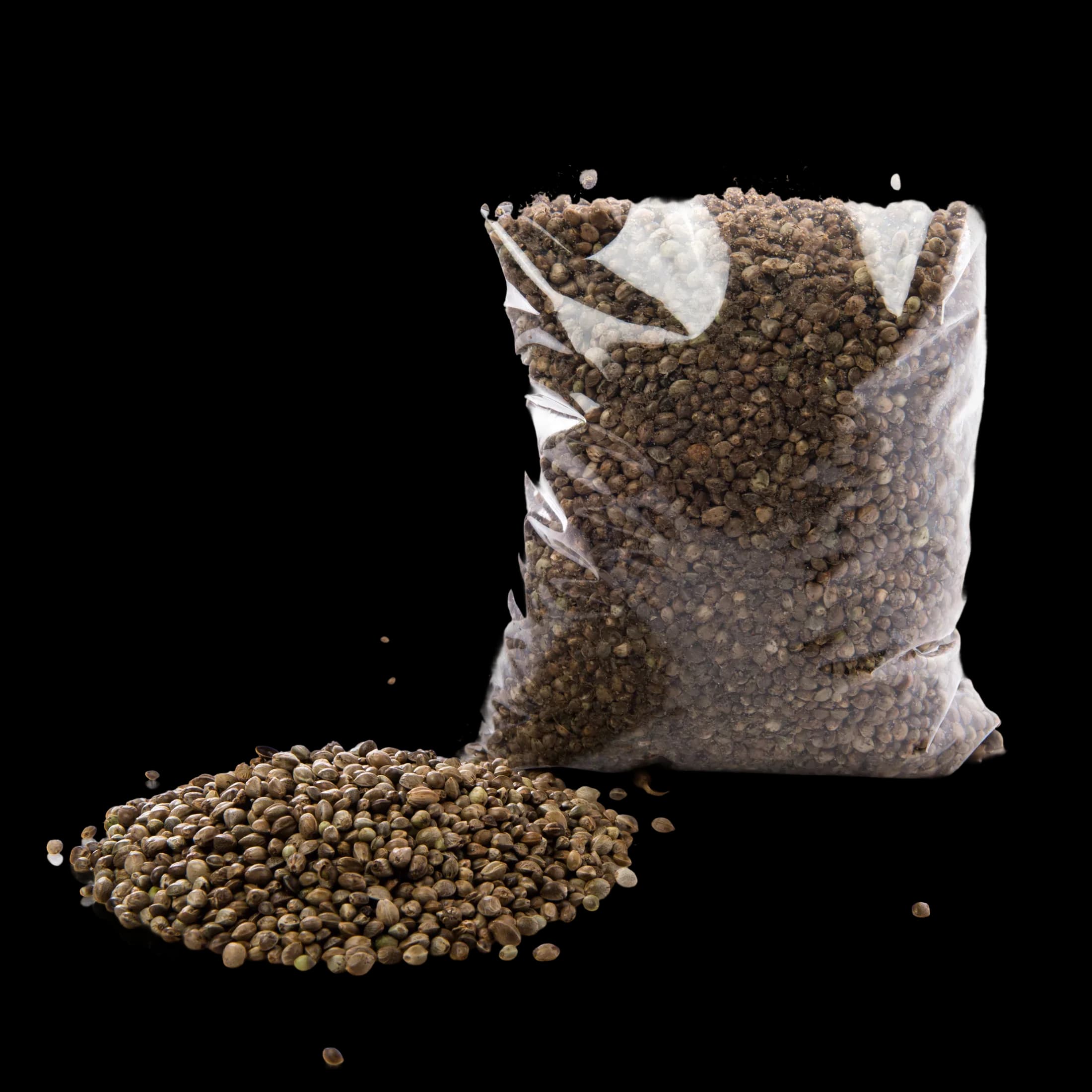 Foto editorial de Enraizador Start Root 750 g