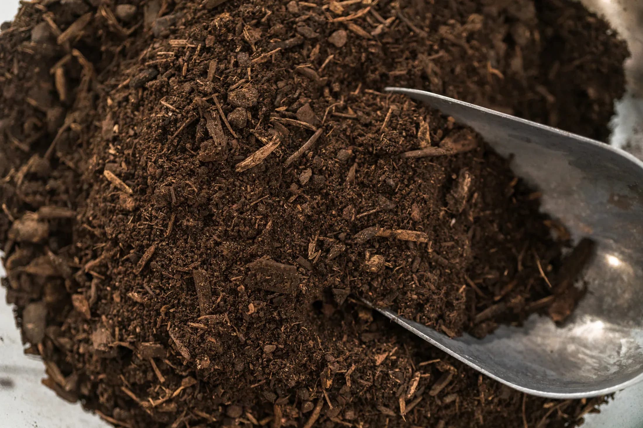 Foto editorial de Fertilizante Organico Profesional 20 kg